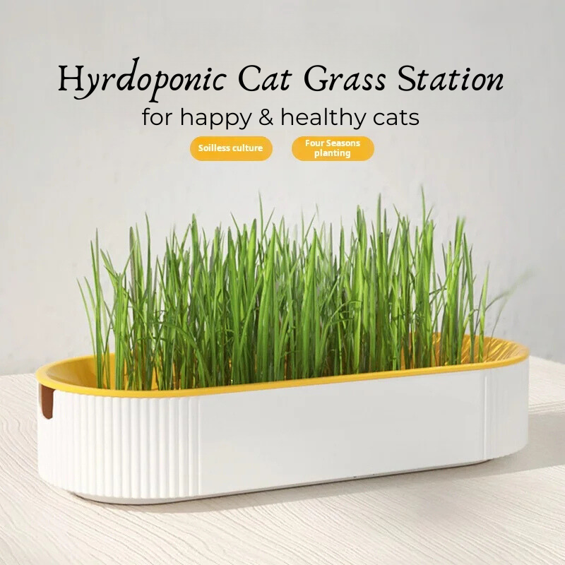 Hydroponic Cat Grass Station