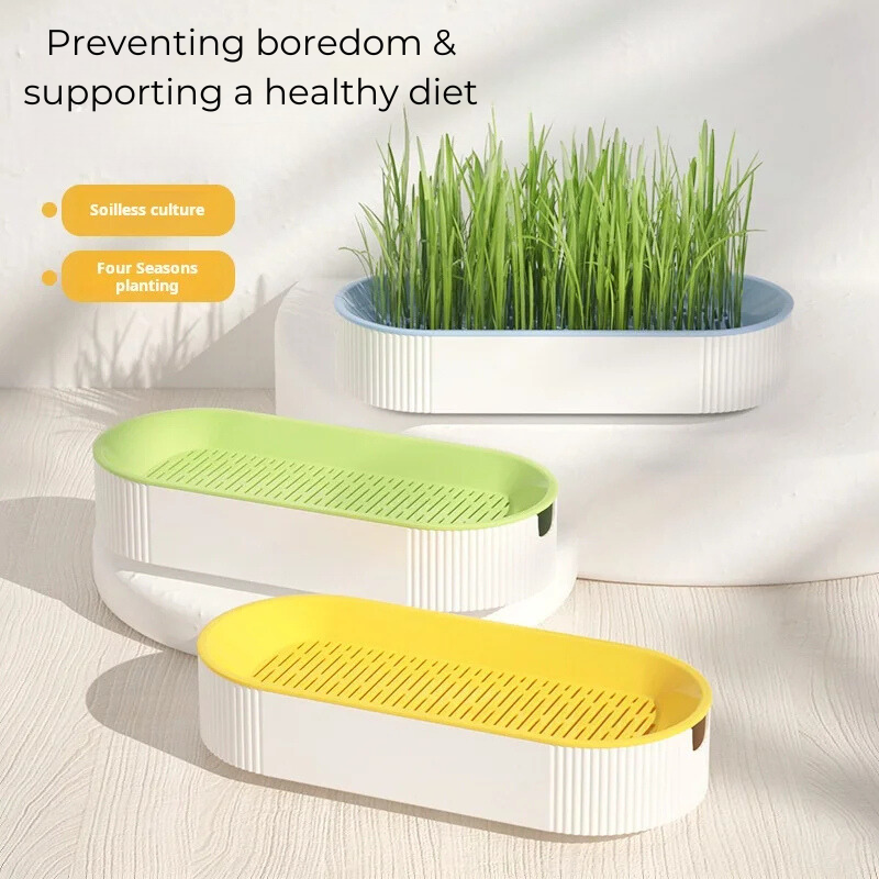 Hydroponic Cat Grass Station