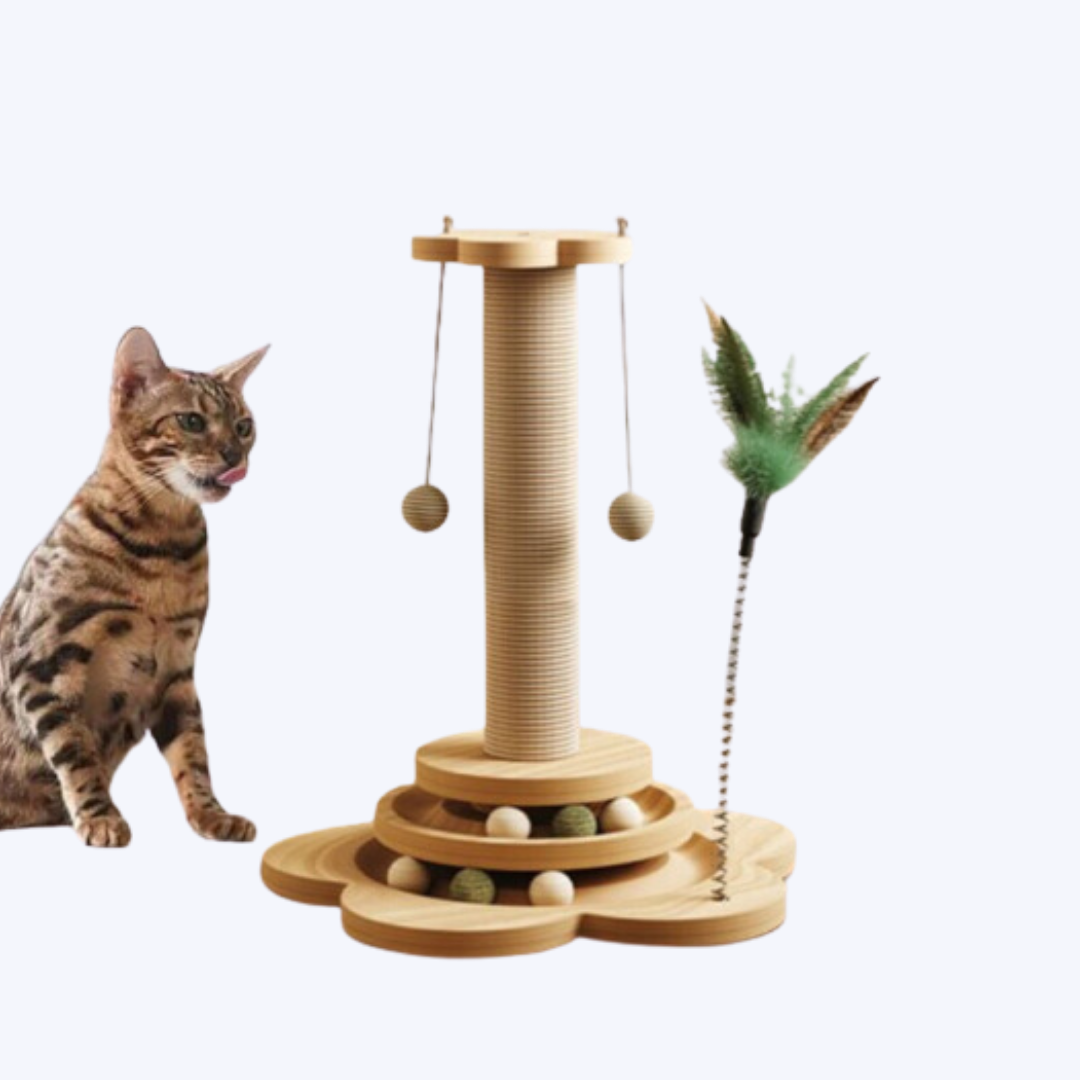 Montessori Style Cat Scratching Post