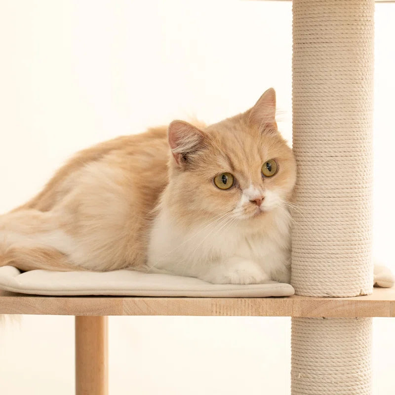 Torreus Cat Tree Upscale Light Wooden Cat Tower