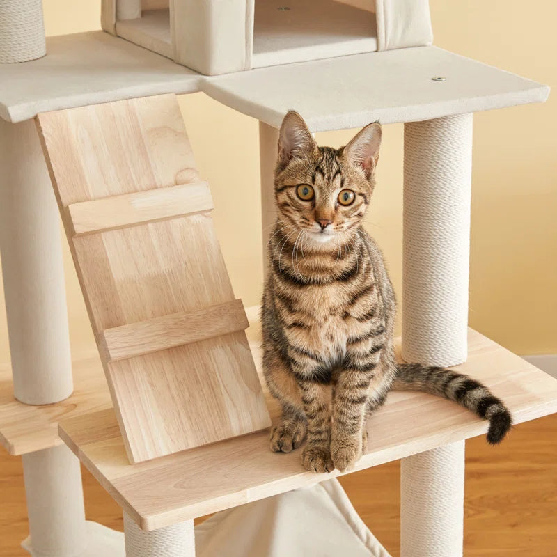 Torreus Cat Tree Derrelle Cat Tree