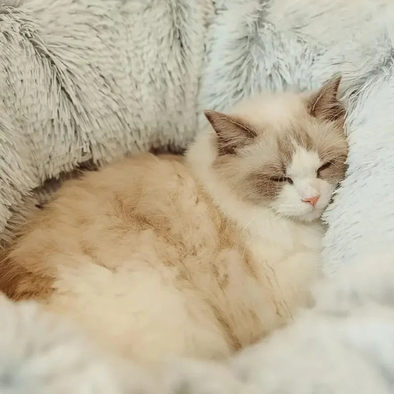 Plush Donut Cat Bed