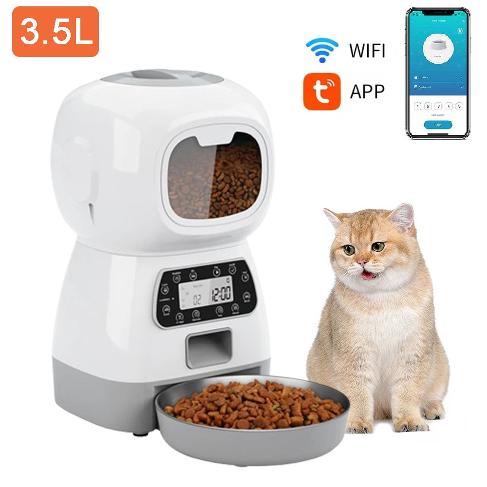 Meowistro Automatic Feeder