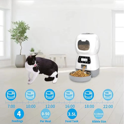 Meowistro Automatic Feeder