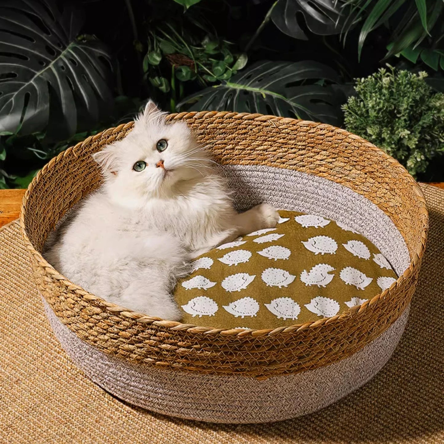 Torreus Cat Bed Hand-Woven Rattan Cat Bed bed cushion set / 35cm