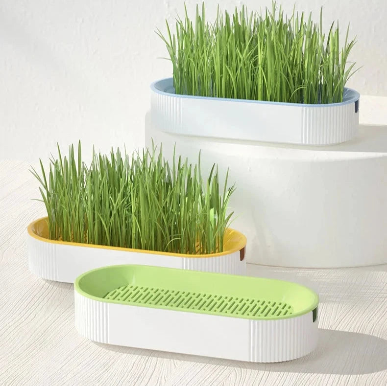 Hydroponic Cat Grass Station