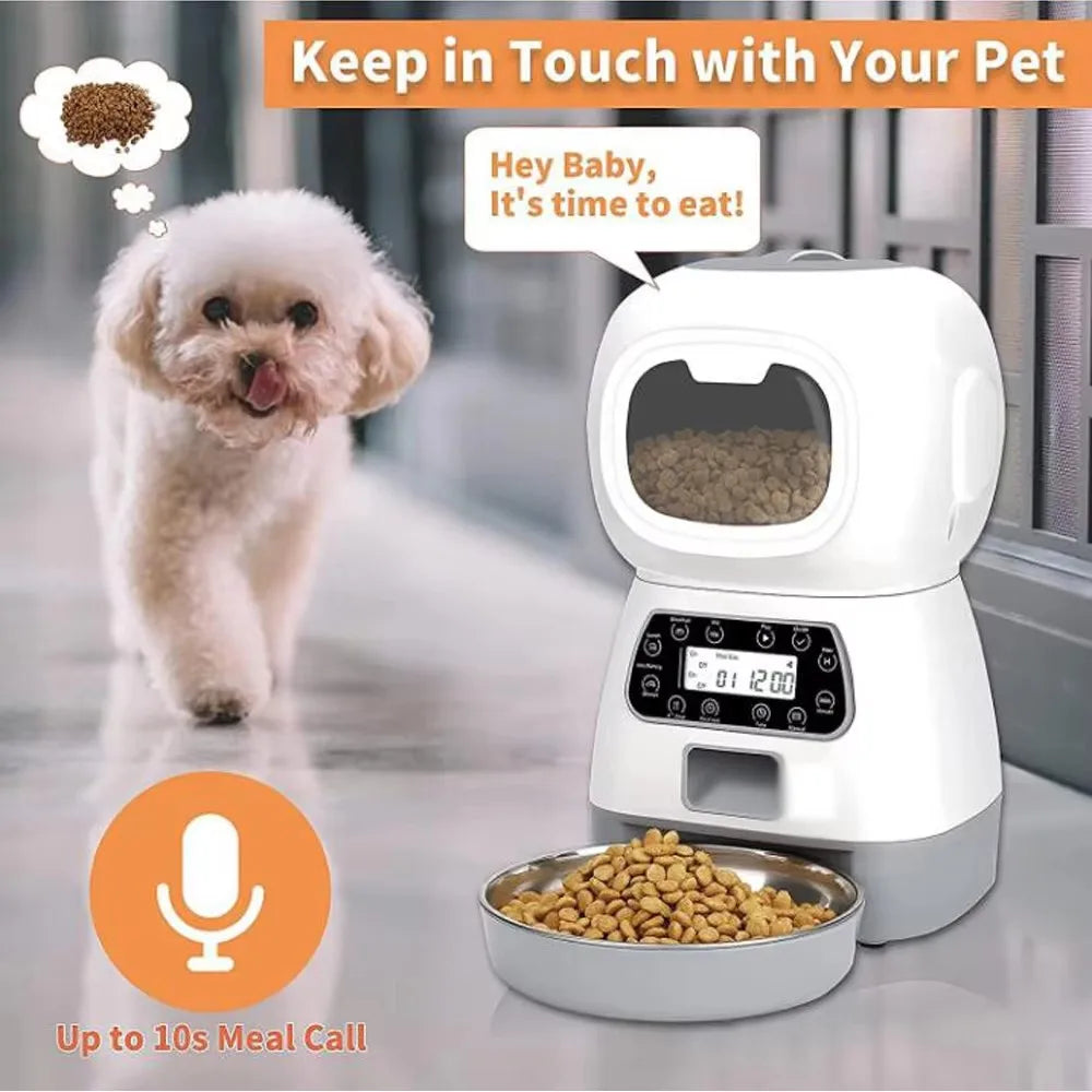 Meowistro Automatic Feeder