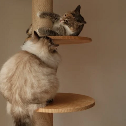 Torreus Cat Tree Floor To Ceiling Cat Climbing Villa Default Title