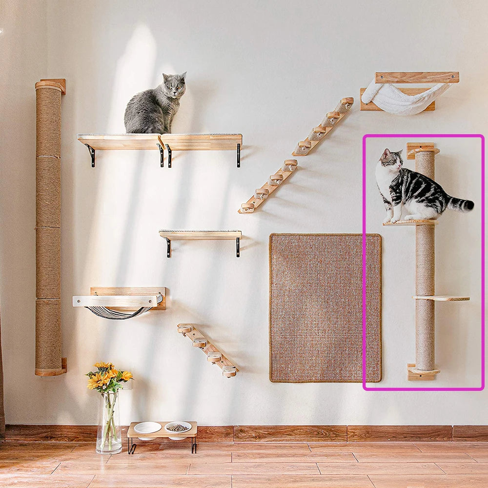 The Cat Climber Wall Mounted Perch