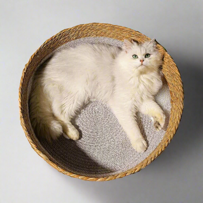 Hand-Woven Rattan Cat Bed