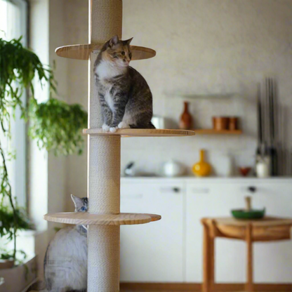 Torreus Cat Tree Floor To Ceiling Cat Climbing Villa Default Title