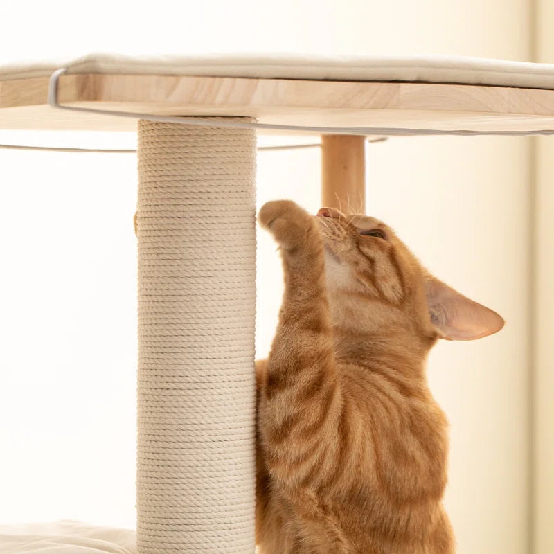 Torreus Cat Tree Upscale Light Wooden Cat Tower