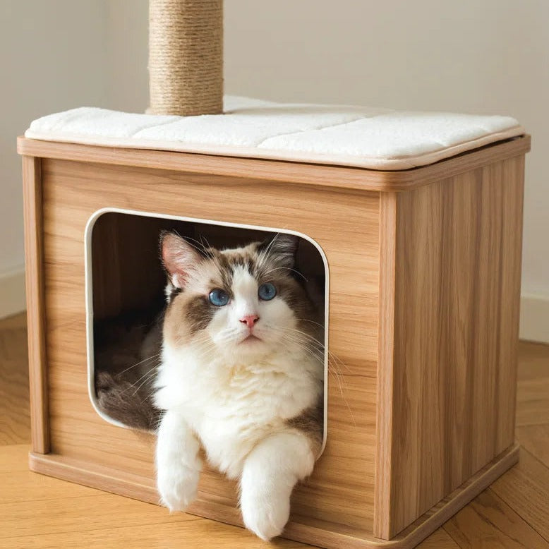 Torreus Cat Tree Minimalistic Cat Hut Default Title